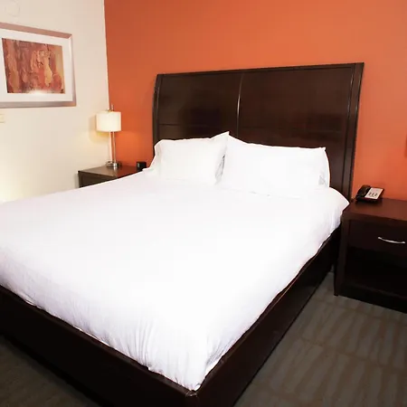 Hilton Garden Inn Springfield, Il-3